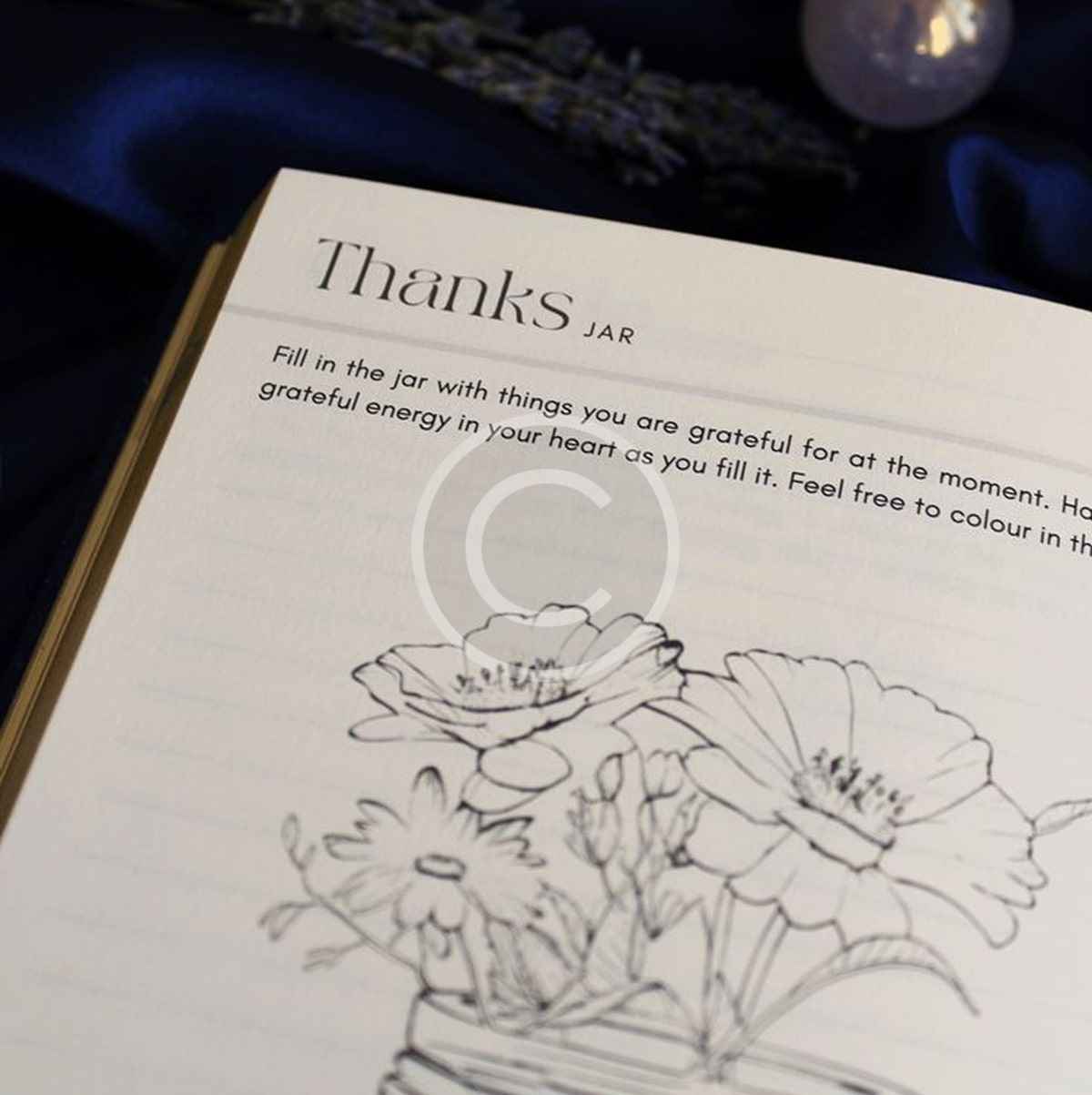 The Big Little Blessings - Image 8
